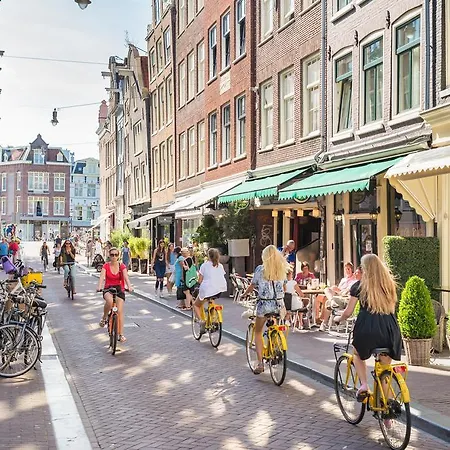 Goudsbloem Jordaan