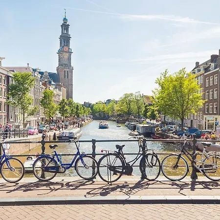 Goudsbloem Jordaan 암스테르담